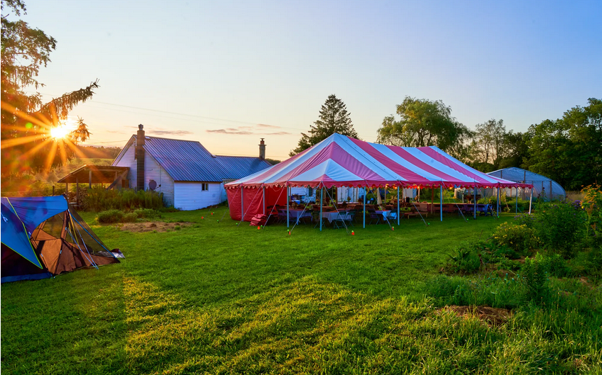 Screenshot 2025-04-03 113108